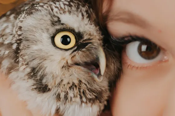 Казино Фийвър Бинго Поддръжка